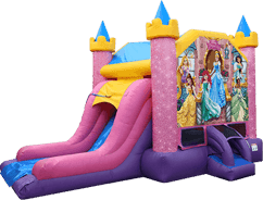 Disney Princess Deluxe Combo Slide