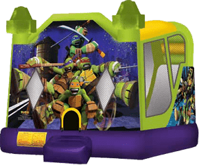 Teenage Mutant Ninja Turtles Slide Combo Bounce